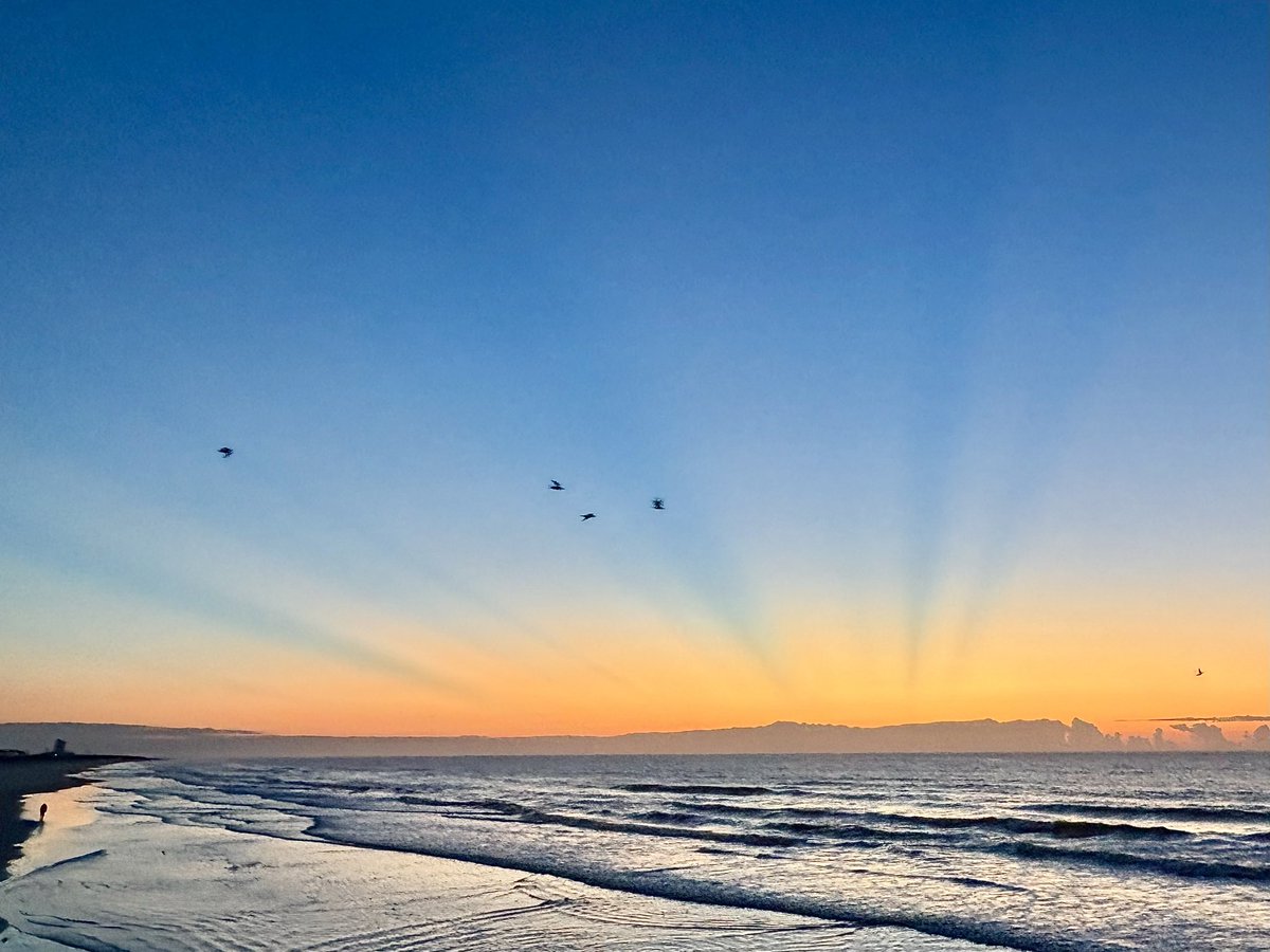 Good morning! #SunsetBeach <a href="/EdPiotrowski/">Ed Piotrowski</a> <a href="/medwick/">Gannon Medwick</a> <a href="/DylanHudlerWXII/">Dylan Hudler</a> <a href="/jamiearnoldWMBF/">Jamie Arnold WMBF</a> <a href="/LeeHaywoodWX/">Lee Haywood</a> <a href="/dogwoodblooms/">Cassie Clark</a> <a href="/marioncaldwx/">Marion Caldwell</a> <a href="/JustinMcKeeWx/">Justin McKee</a> <a href="/StarboardRail/">The Starboard Rail</a> <a href="/ThePhotoHour/">#ThePhotoHour</a> <a href="/CMorganWX/">Christian Morgan</a> <a href="/Christina4casts/">Christina Anthony</a> <a href="/AndrewWMBF/">Andrew Dockery</a> <a href="/ScottyPowellWX/">Scotty Powell</a> <a href="/jgreenhillwx/">Jenna Greenhill</a> <a href="/TimBuckleyWX/">Tim Buckley</a> <a href="/matt_wx/">Meteorologist Matt Bullock</a> <a href="/clairefrywx/">Claire Fry</a>