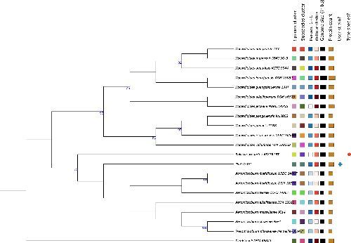 MicrobioSoc's tweet image. Solicola agrisoli sp. nov., a novel actinobacterium isolated from agricultural soil in Republic of South Korea. Read more about this in IJSEM: doi.org/10.1099/ijsem.… #IJSEM