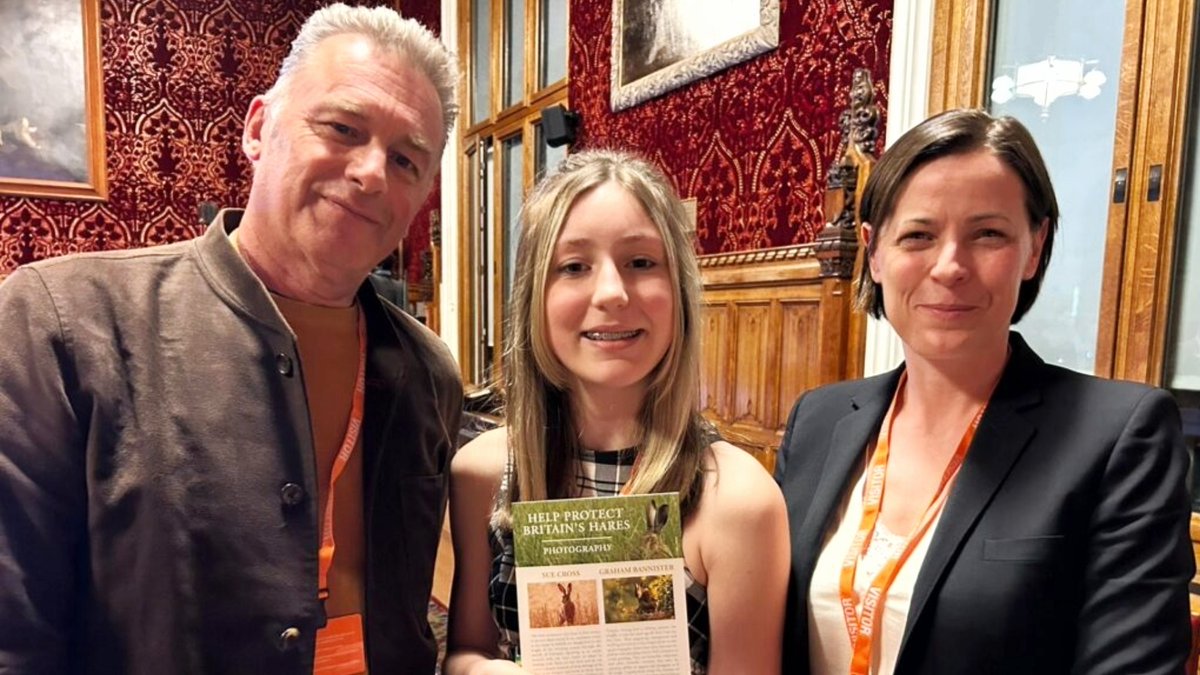 In our latest blog, Born Free Youth Ambassador Thea explains why she’s campaigning for a close season for hares in England and Wales.

Love hares too? Join Thea - write to your MP and urge them to support a legal close season for hare shooting. 👉 bit.ly/3JMToou