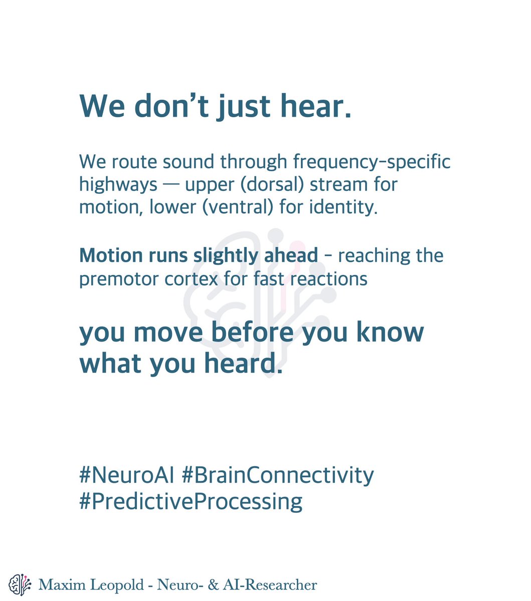 Maxim Leopold tweet media