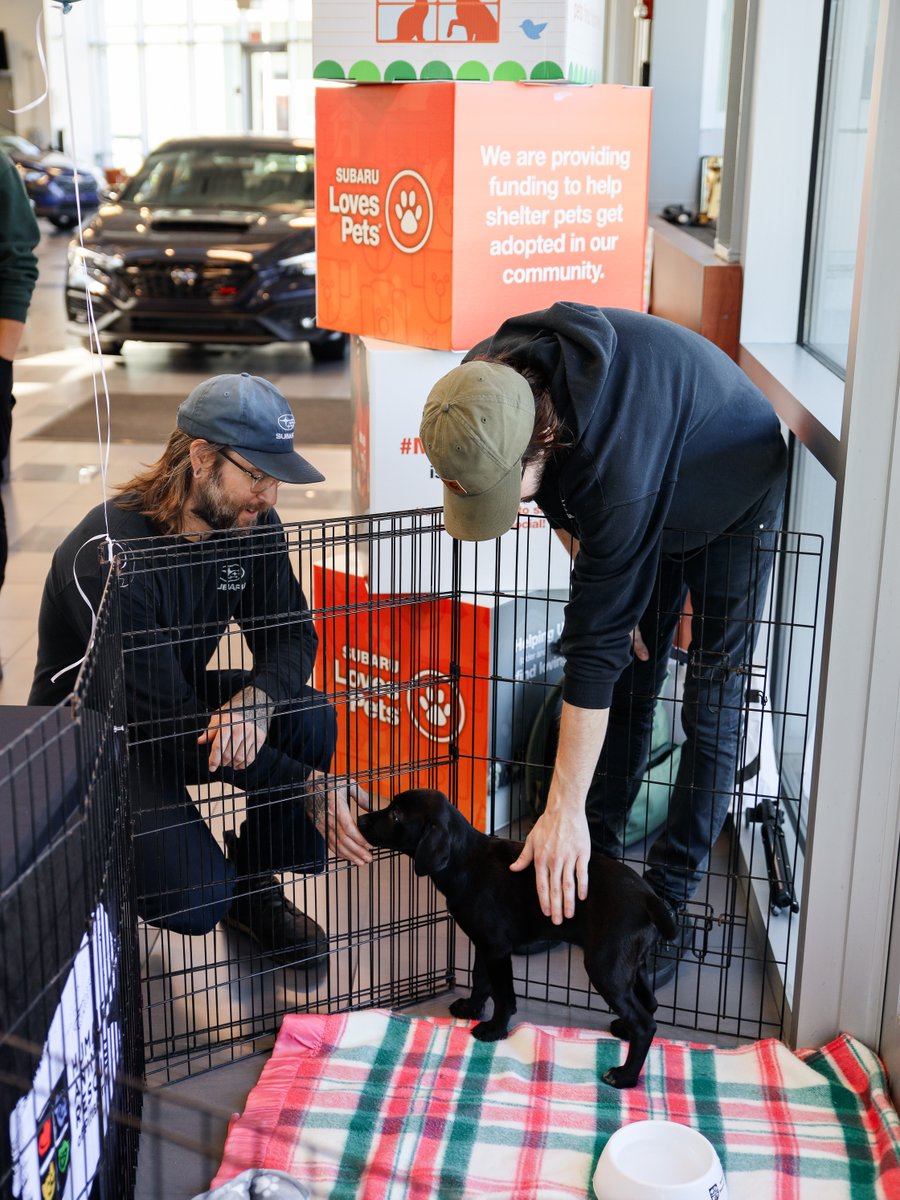 That’s a wrap on our best Subaru Loves Pets event yet! ❤️

#1 Cochran Subaru and #1 Cochran Subaru Butler collectively donated $8,000 to the Humane Animal Rescue of Pittsburgh (HARP) and the Butler County Humane Society (BCHS)! 

#SubaruLovesPets #CochranCares #SupportTheShelters