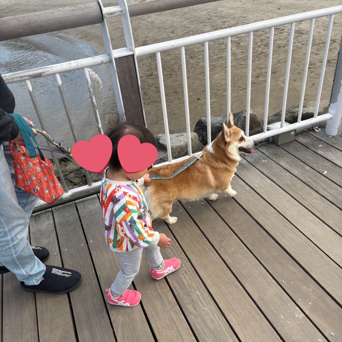 ___hy_b___'s tweet photo. 大阪帰るぞ〜〜❣️🚗❣️ https://t.co/fIECPbsqrb