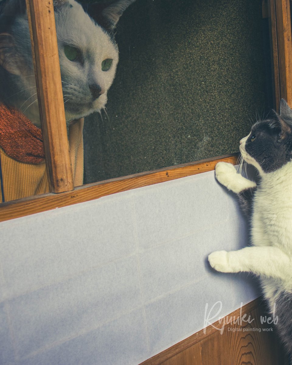 ryuukiweb's tweet image. 猫化け