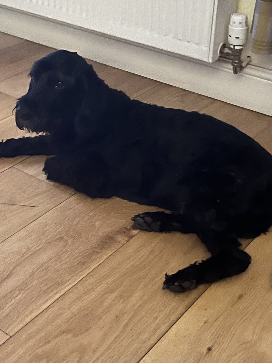 tezshell's tweet photo. @CharlotteHawkns 15 year old chilling and listening 🥰 https://t.co/UTK2OFh47A