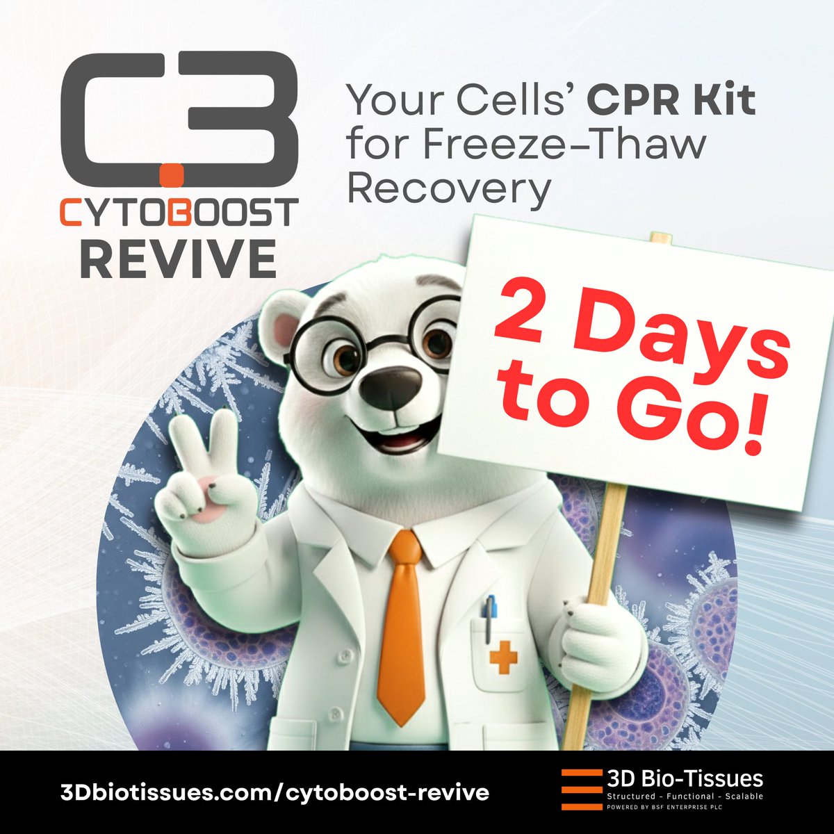 3D Bio-Tissues | structured-functional-scalable tweet media