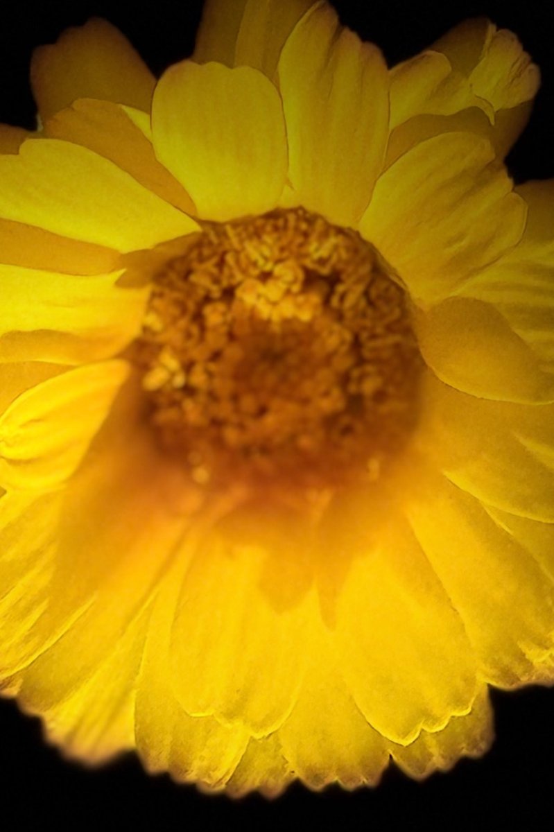 transformation does not happen overnight..

transformation is an evolution…

Self-transformation even more

that’s why New Year’s resolutions fall flat on their face

self-transformation is one of the greatest acts of self-love

self-confidence is never selfish it’s self-caring