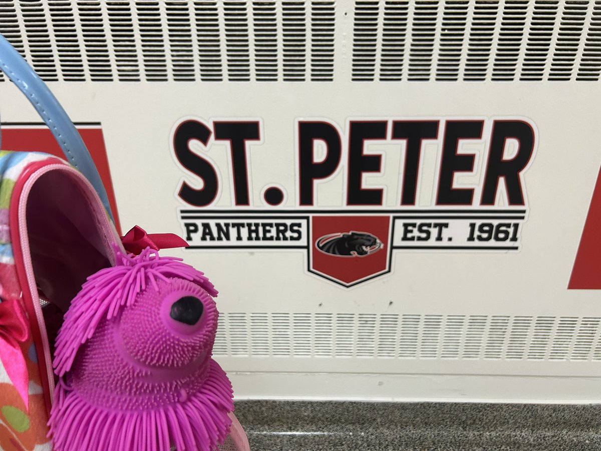 StPeterDPCDSB's tweet photo. The travelling 🧳 Well-Being  Mascot made it to St. Peter this week from @StBenedictDP 

All classes hosted, fed them #kindness bones &amp; came up with possible names 💜 

We’ll drop them at @StCorneDPCDSB Monday to spread more  #kindness ! 

@DPwellness4all 
@DPCDSBSchools 
#BNCD https://t.co/NBTlSO55QQ