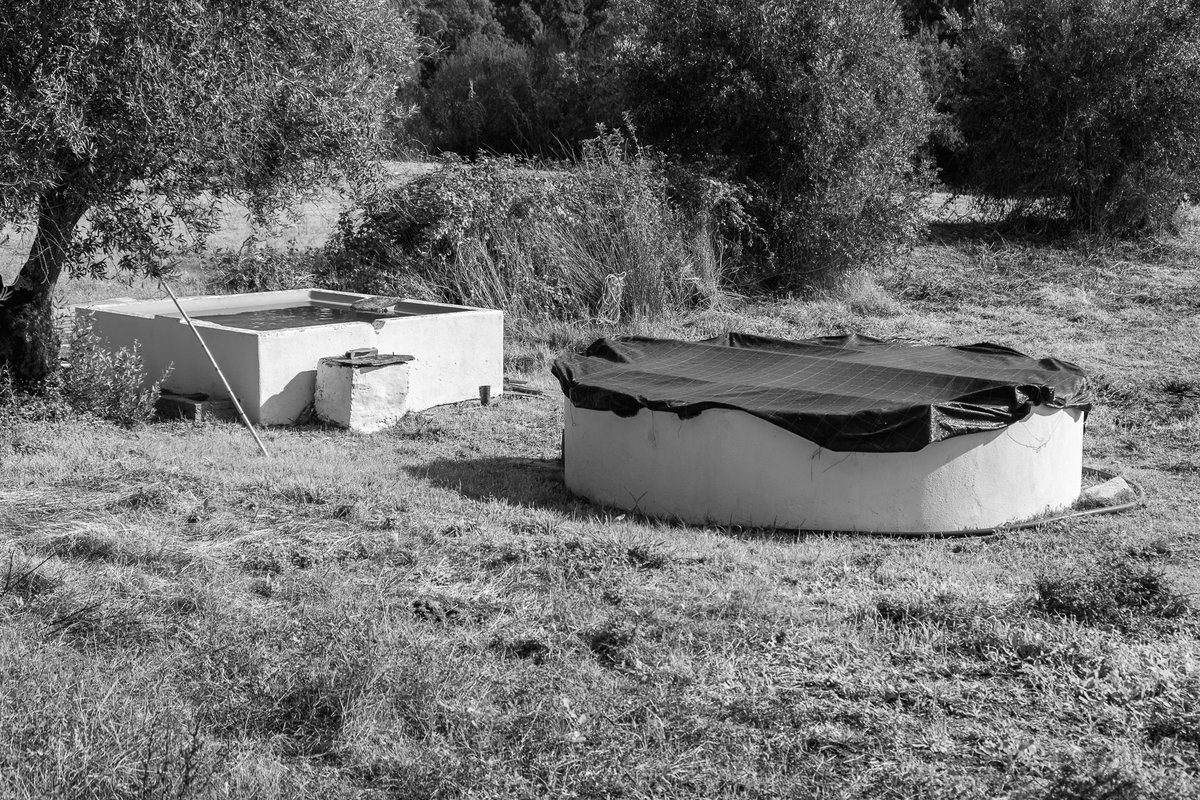 zeartur's tweet photo. Mora
Novembro 2025
#Alentejo  #photography #pausa #vagar #vaguear #DeMora #Mora #VilaDeMora https://t.co/YPYXFsEZkr