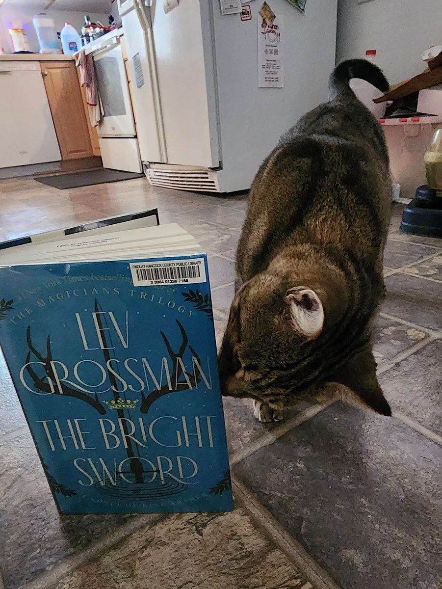 Jpullen19's tweet image. Dr. Pullen &amp;amp; her TA Fidil recommend The Bright Sword by Lev Grossman. @leverus This Arthurian fantasy is so immersive Fidil tried to climb inside. At once aware of the history of Arthuriana, &amp;amp; magnificently new &amp;amp; strange, this book is a must read! #purrfectreads #amreading