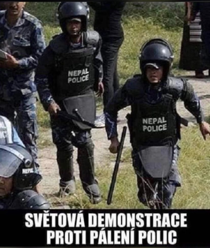 SolarReptile's tweet image. 