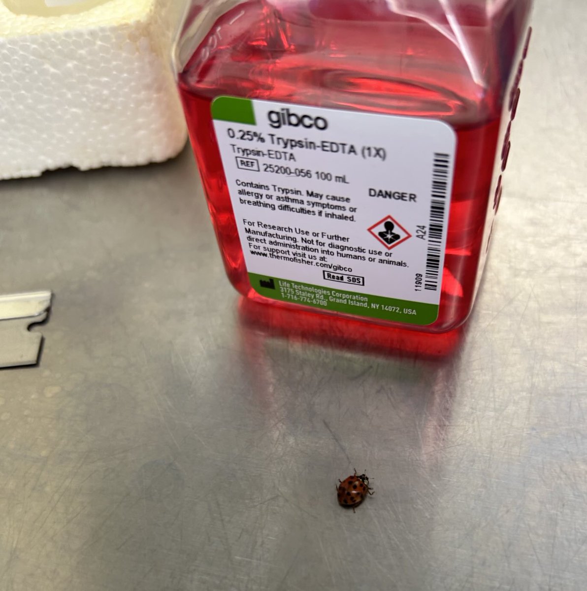 Derek Abbott tweet media