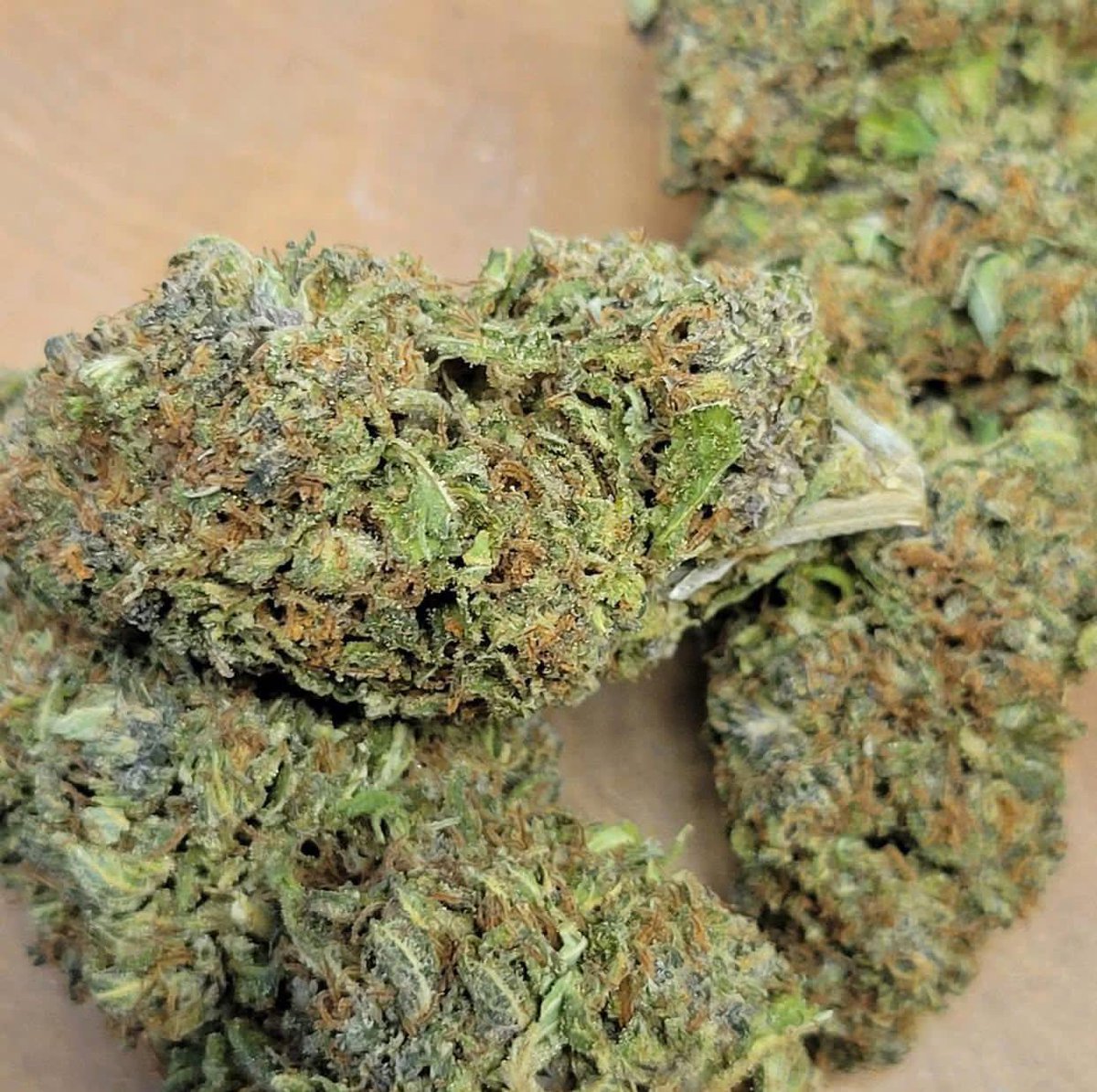 Purple Hindu Kush 🔥 
29.9% THC
I bet you’ll wanna try this 🤗