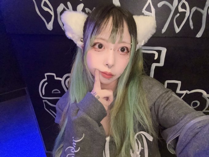 ノラ猫でも愛してくれますか？のツイート