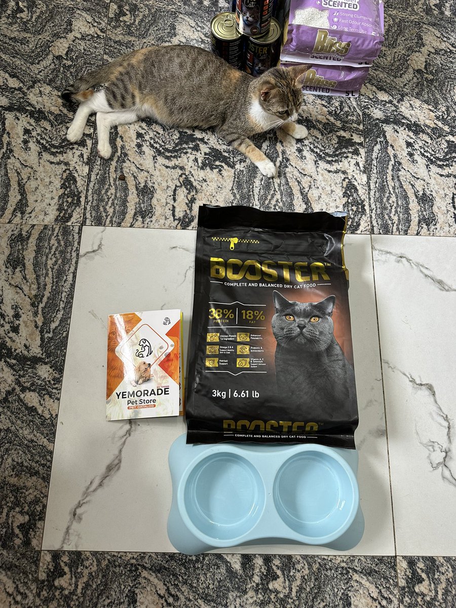Yemorade Pet Store | Ibadan Pet Shop tweet media