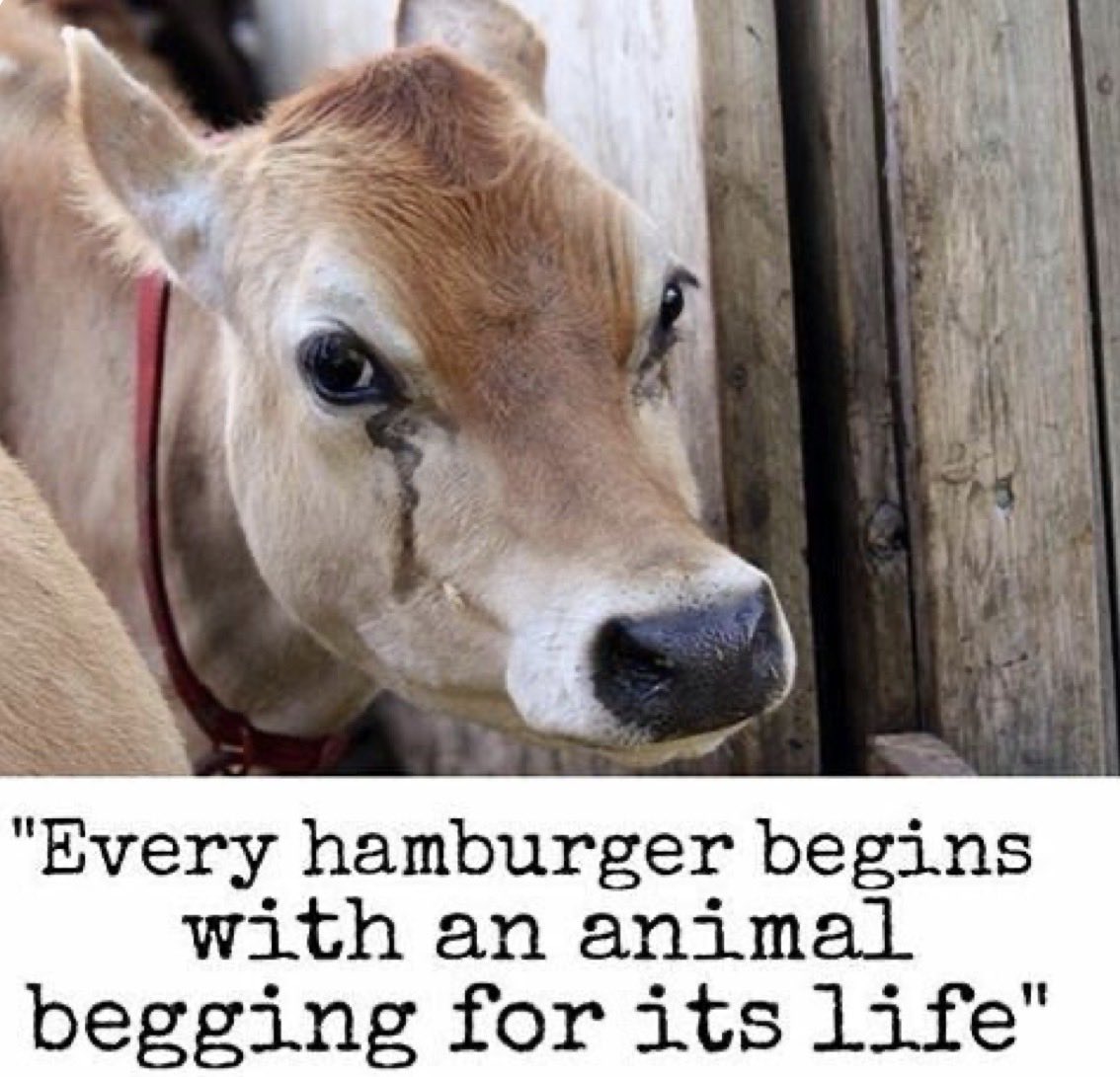 NothingIsArt (@nothingisart) on Twitter photo 