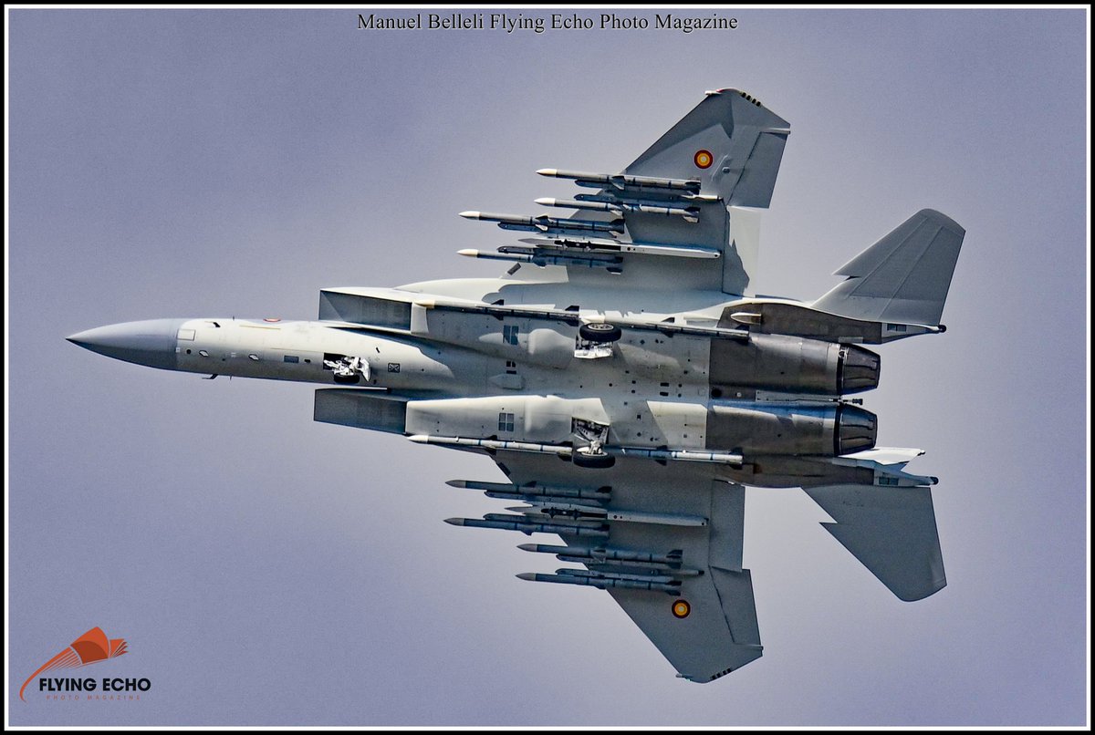 M BELLELI tweet media