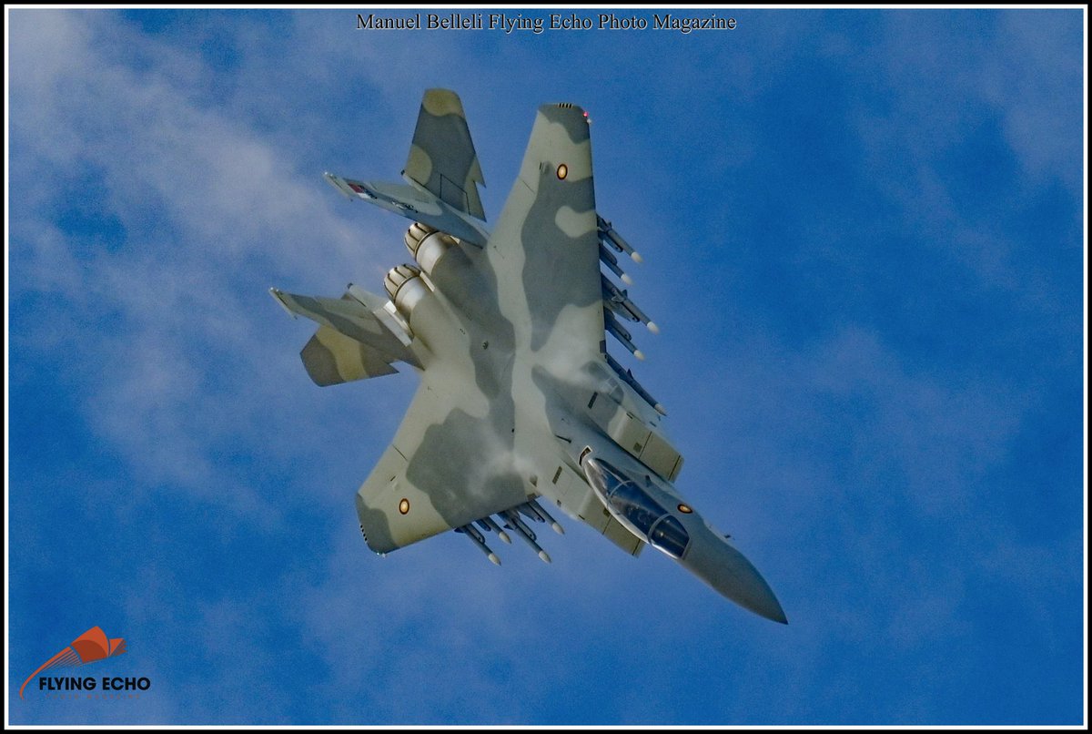 M BELLELI tweet media