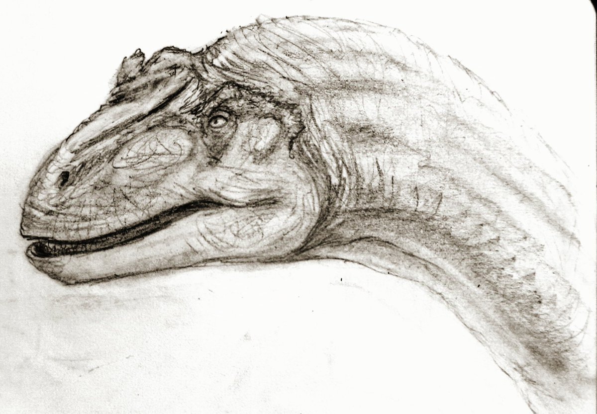 supercaliFRAGILISticexpialidocious