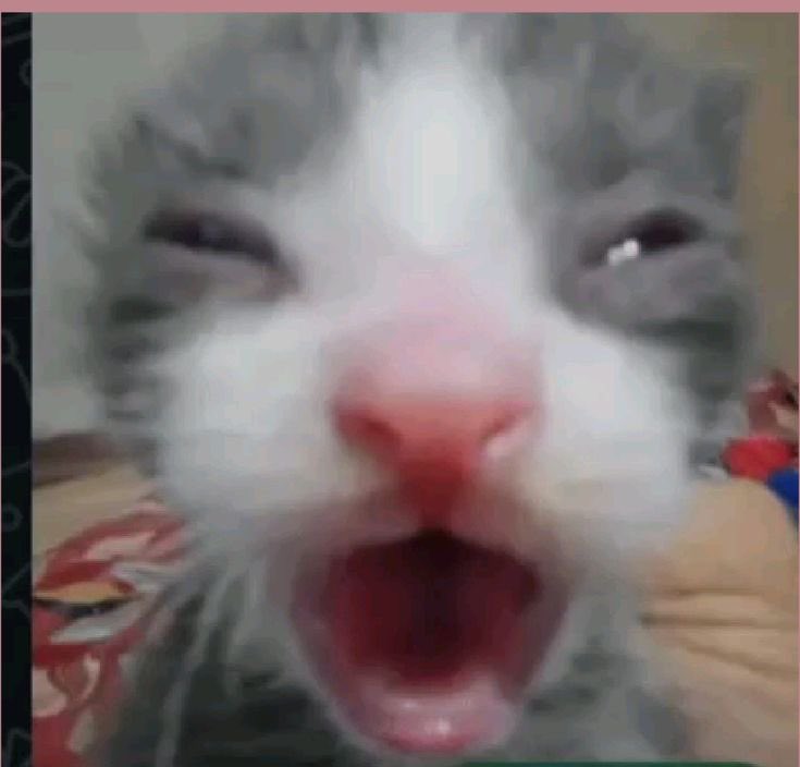 HOLAAAA
(Los amo mi pipol)