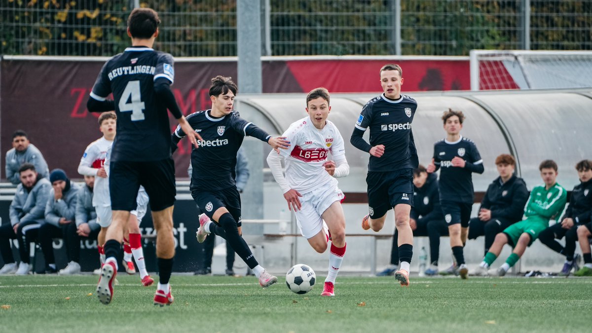jungundwild's tweet photo. Überragender Samstag im Nachwuchs! 🤩

#VfBU19: 3:2-Sieg gegen Eintracht Braunschweig!✅
#VfBU17: 6:2-Sieg gegen den FC Bayern München!✅
#VfBU16: 2:1-Sieg gegen den SSV Reutlingen! ✅
#VfBU15: 1:0-Sieg gegen die TSG Hoffenheim! ✅

#jungundwild | #VfB https://t.co/Mp2MmEgpMp
