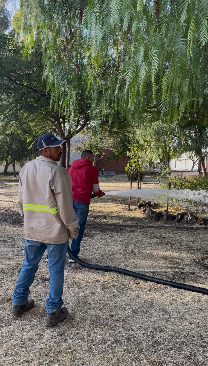 ArticuloCuarto's tweet photo. Gracias a la @DGOP_Leon por sumarse al riego del Parque Miyawaki 💧🌳
 Cuidar la naturaleza es un trabajo compartido, y juntos, hacemos que León siga verde. 🌿 https://t.co/XR309muaj8