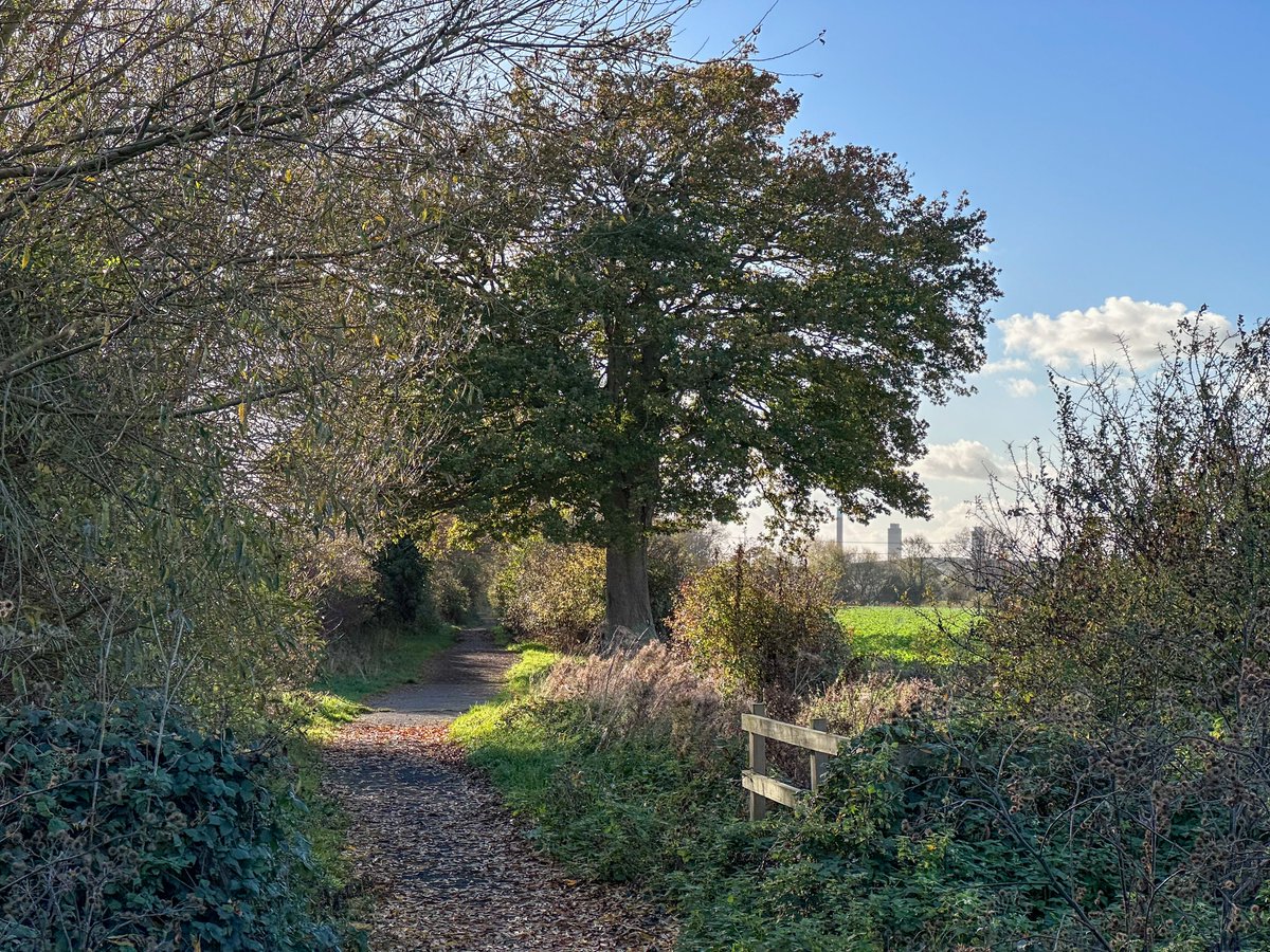 JJWillow's tweet photo. #didcot #longwittenham #willingtondownfarm #westfieldfarm #autumn #oxfordshire https://t.co/bTzaYhtsXY