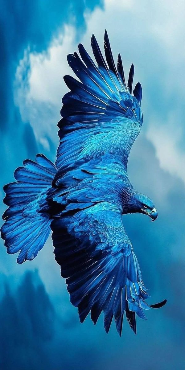 Brave like an eagle, unstoppable like the wind.