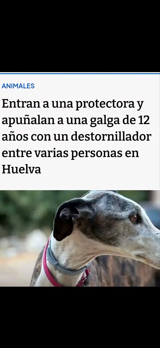 daniesdsk's tweet photo. os quitaría la vid... con mis propias manos.. https://t.co/tfBc7UdVKS