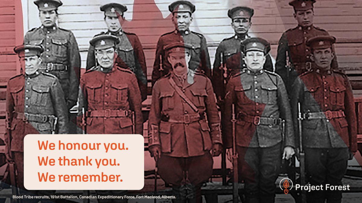 ProjectForest_'s tweet image. Today, we honour the Indigenous Veterans who served with courage and resilience - fighting for a nation that did not always fight for them. 

Your strength, sacrifice, and legacy will never be forgotten. 💚

projectforest.ca/contact-us

#IndigenousVeteransDay #LestWeForget