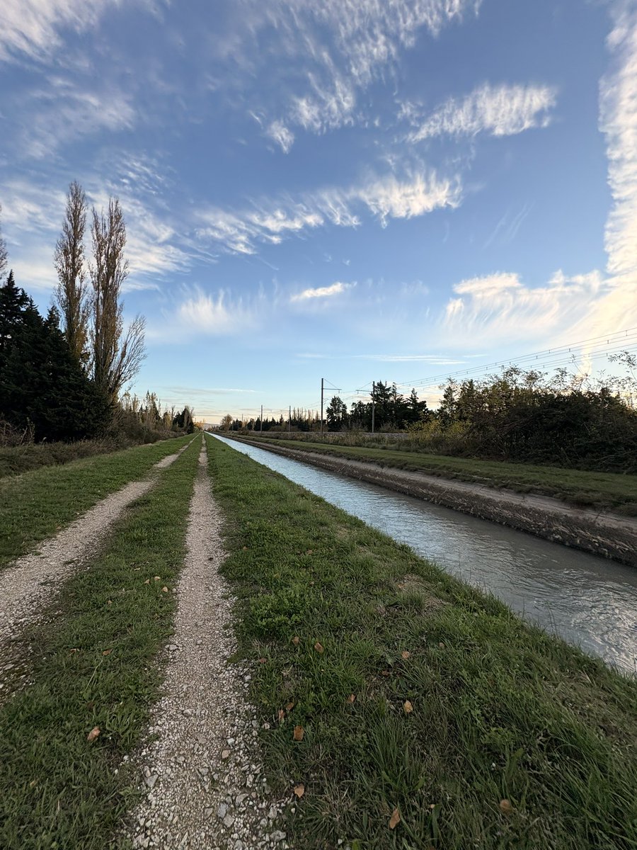 La sortie du soir 🏃🏽‍♂️‍➡️
