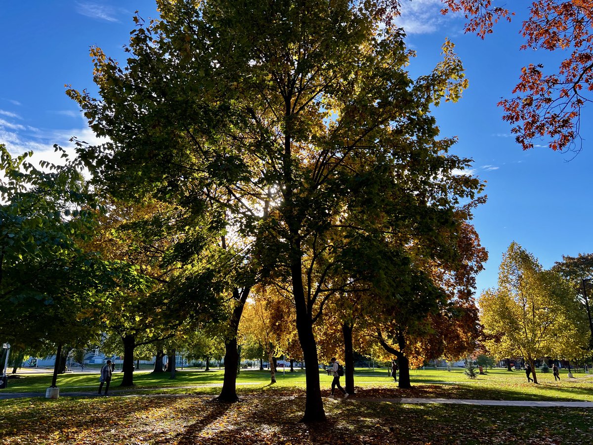 Christa Morrison tweet media