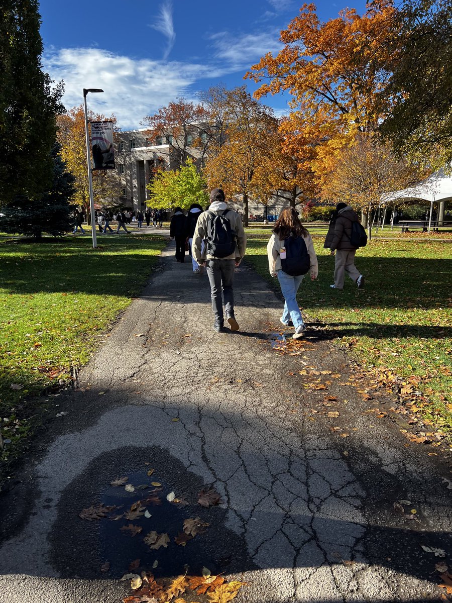 Christa Morrison tweet media