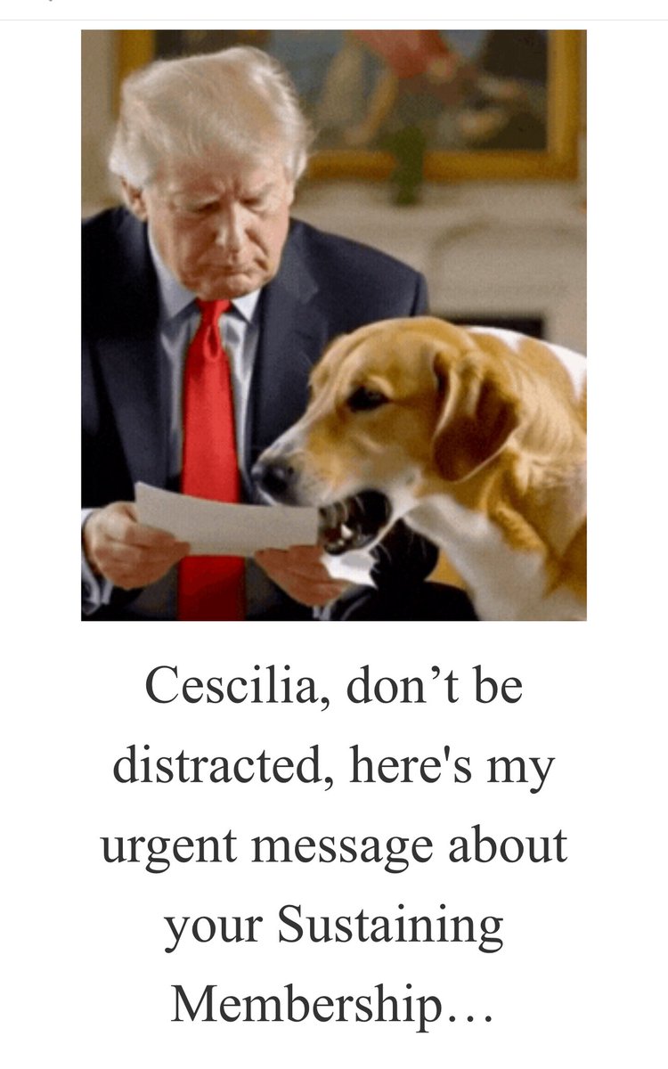 🇺🇸 🦅 Cescilia Kiss 🦅🇺🇸 tweet media