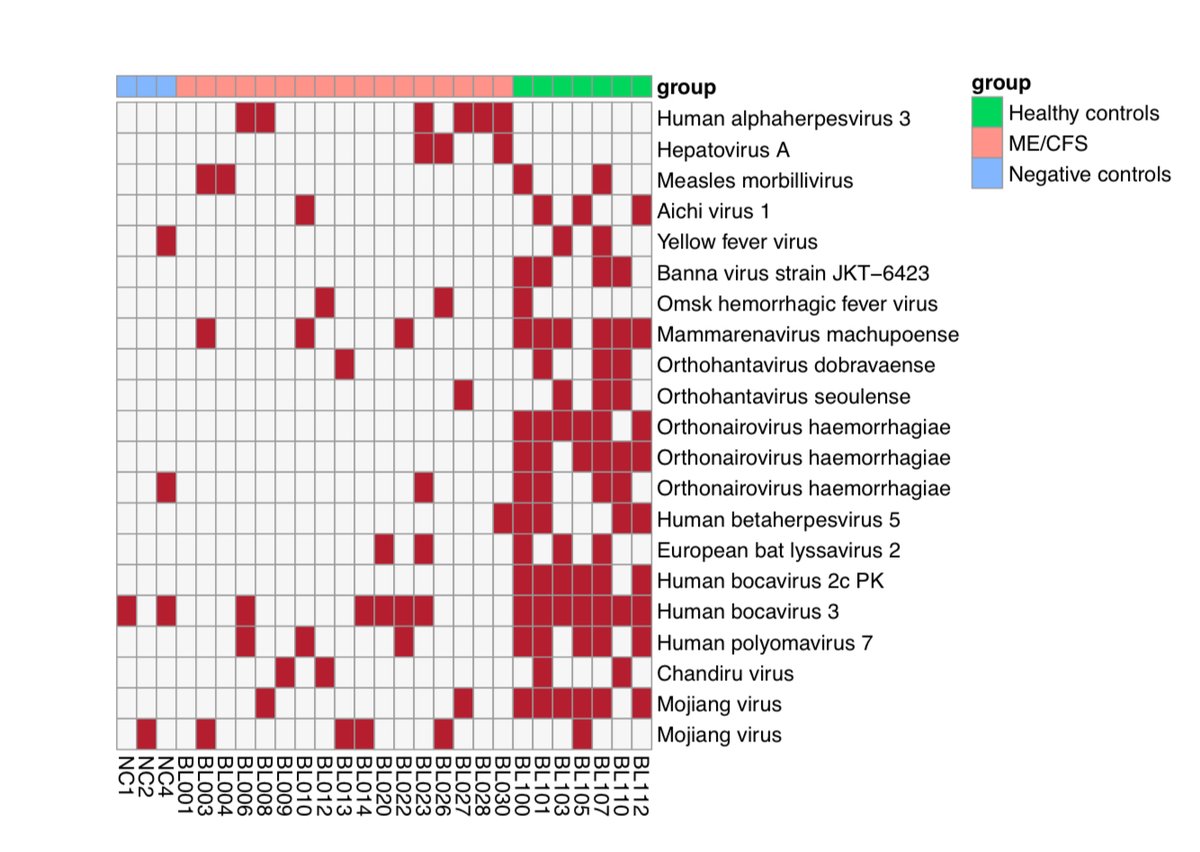Nieuwe preprint van Ron Davis &amp; team:

Virusgenoomsequenties in bloed van patiënten met ME/cvs

"Verrassend genoeg werden er bij de gezonde controles meer virussen gevonden dan bij de ME/CVS-patiënten"
👇
medrxiv.org/content/10.110…