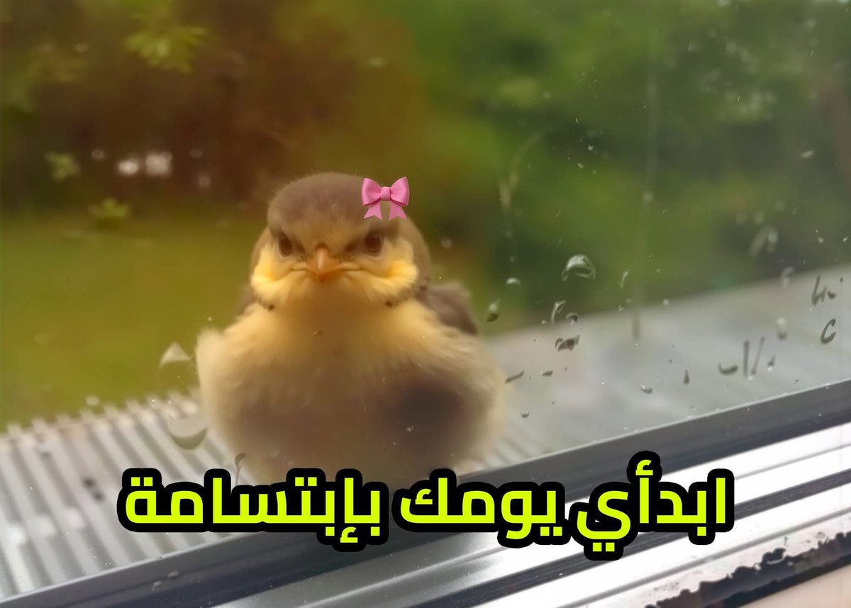 ema (@iemanayman) on Twitter photo 