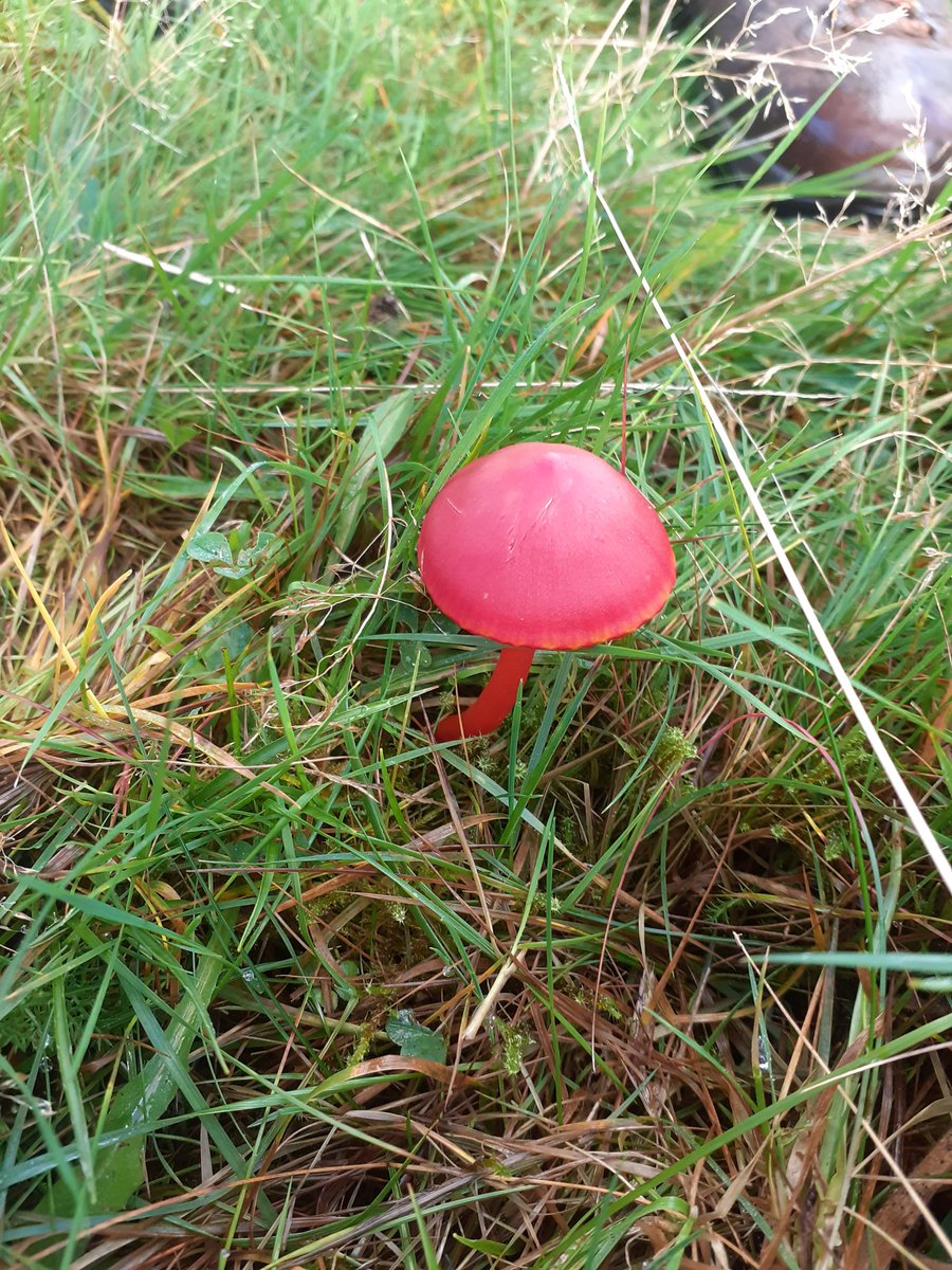 Chris Parry tweet media