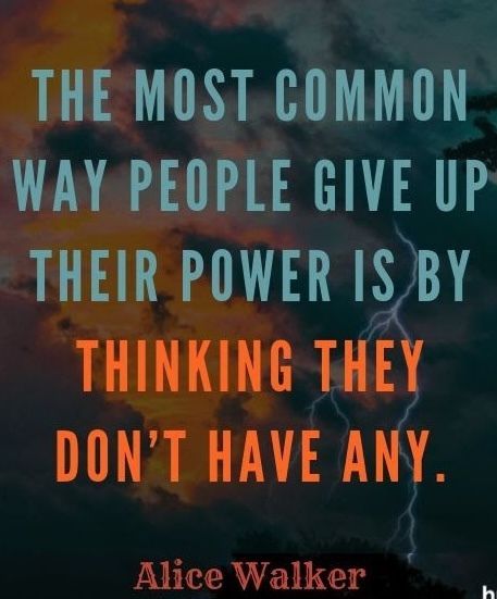 "The most common way people give up their power is by thinking they don’t have any."
– Alice Walker