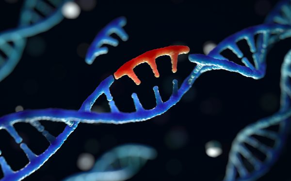 HPCwire's tweet image. How biotech startup Metagenomi is using #machinelearning and #cloudcomputing to accelerate #scientificdiscovery  
ow.ly/s6Mo50Xoy2q #AIforScience #Trainium2 @AWScloud