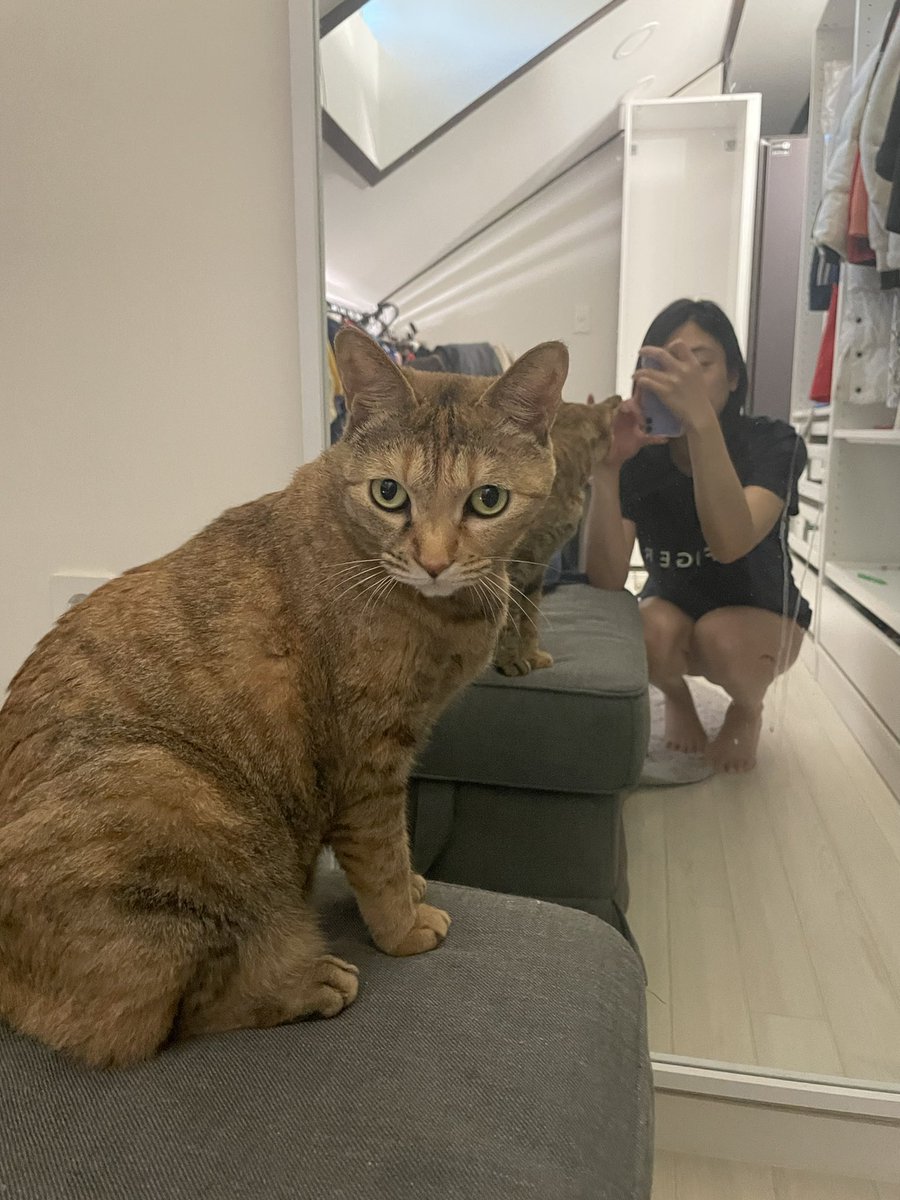 우리집 mini호랑이