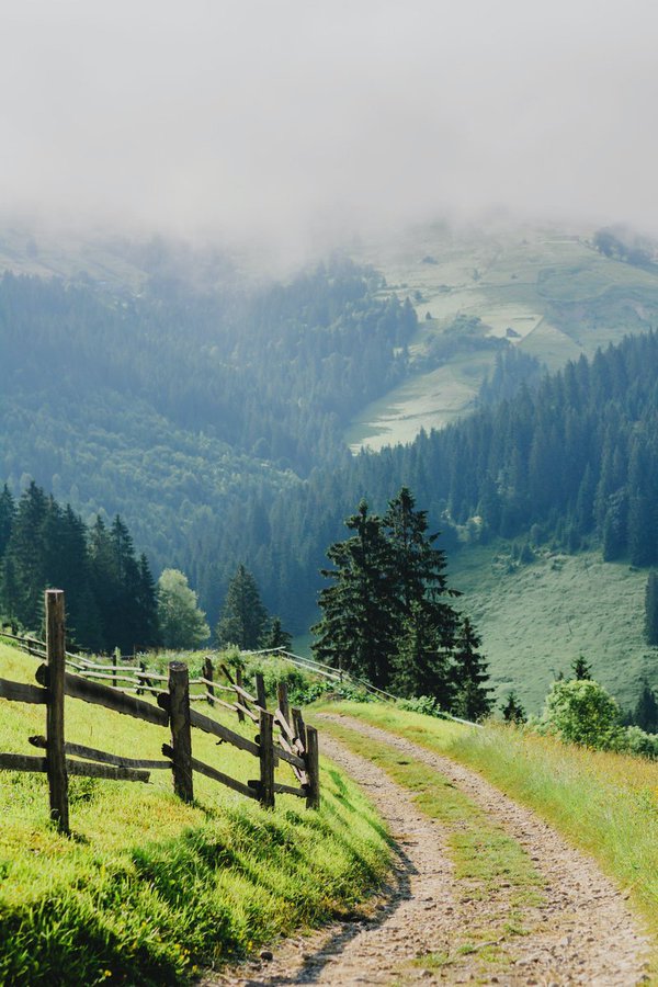 RiverRune88's tweet image. c&apos;est vrai
it&apos;s true
truth flows
across my tongue
into air mingled
w/every nation

young, in school
foreign #language
from a land where 
my breath never flowed
feet never walked

yet we flow w/it all
&amp;amp; walk every land
w/every word
that speaks
the Tongue of
Unity

#vss365 
©rpm&apos;25