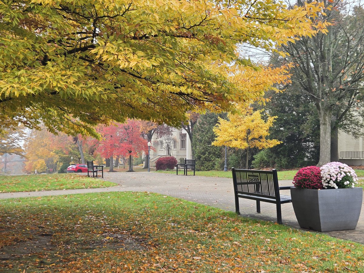 Fall colors here in November aren't unheard of, but certainly aren't common.