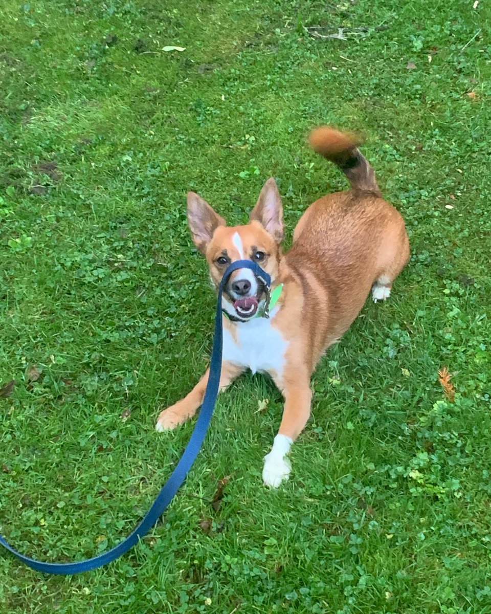 ‘Crackhead on the loose’
#Dogs #Daisy #Pets #KeyQuestionsConcerningtheEconomicSituationinUganda #DaisysCominForYa #DogsonMeth #Toes