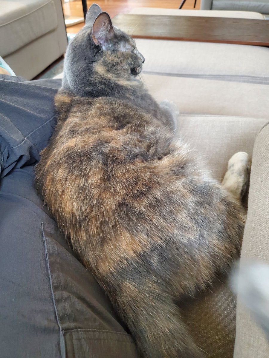 Snuggle bug