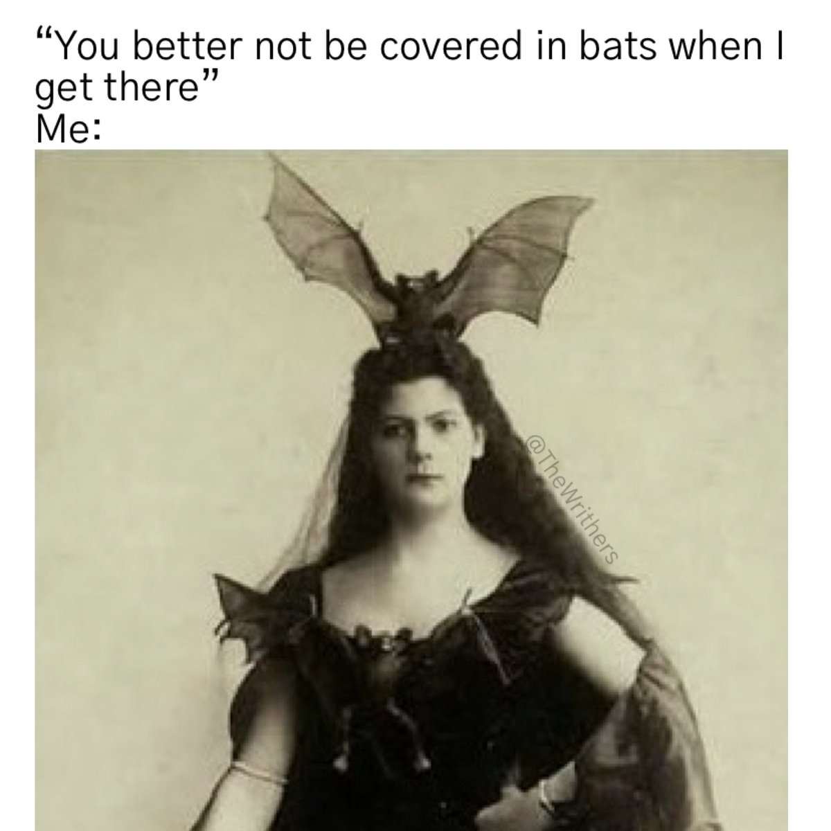 The Writhers tweet media