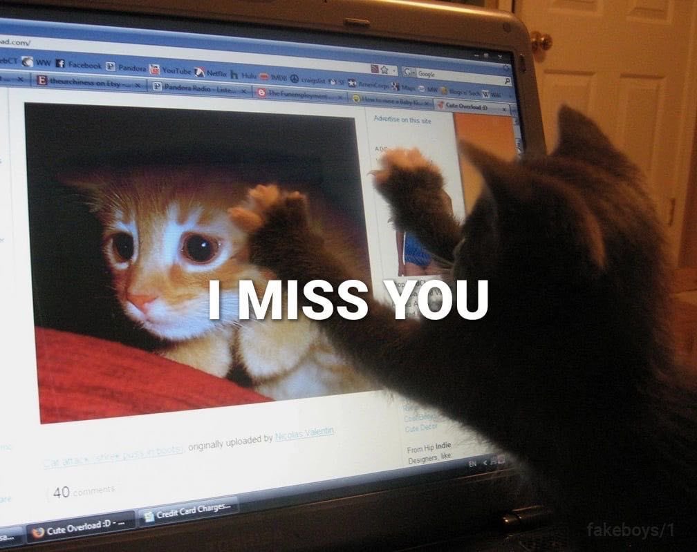 ♡ (@softheavens) on Twitter photo 