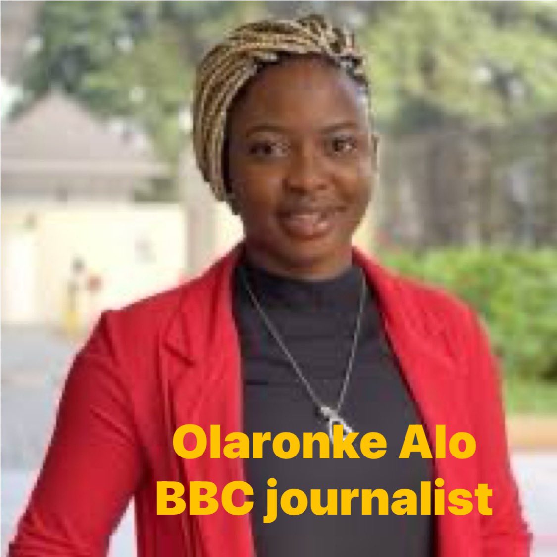 ChinasaNworu's tweet photo. Biafrans and Nigerians take of note these people  , they’re  behind this BBC disinformation unit who authored the article denying the Christians Genocide.They are not whites but  Nigerians.
They are neither Muslims nor are they from AREWA, as you can see, they are all Christians :One Yoruba, Two Igbos. All from the South paid to write this 

There names:
-Olaronke Alo
-Chiamaka Enendu
-Ijeoma Ndukwe. 

Let’s take note for record purposes .
@radiobiafralive 
@BBCAfrica