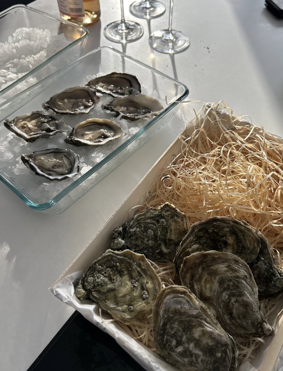 peacearhpn's tweet image. 🤓🦪🍽️✨ #peacearhpn