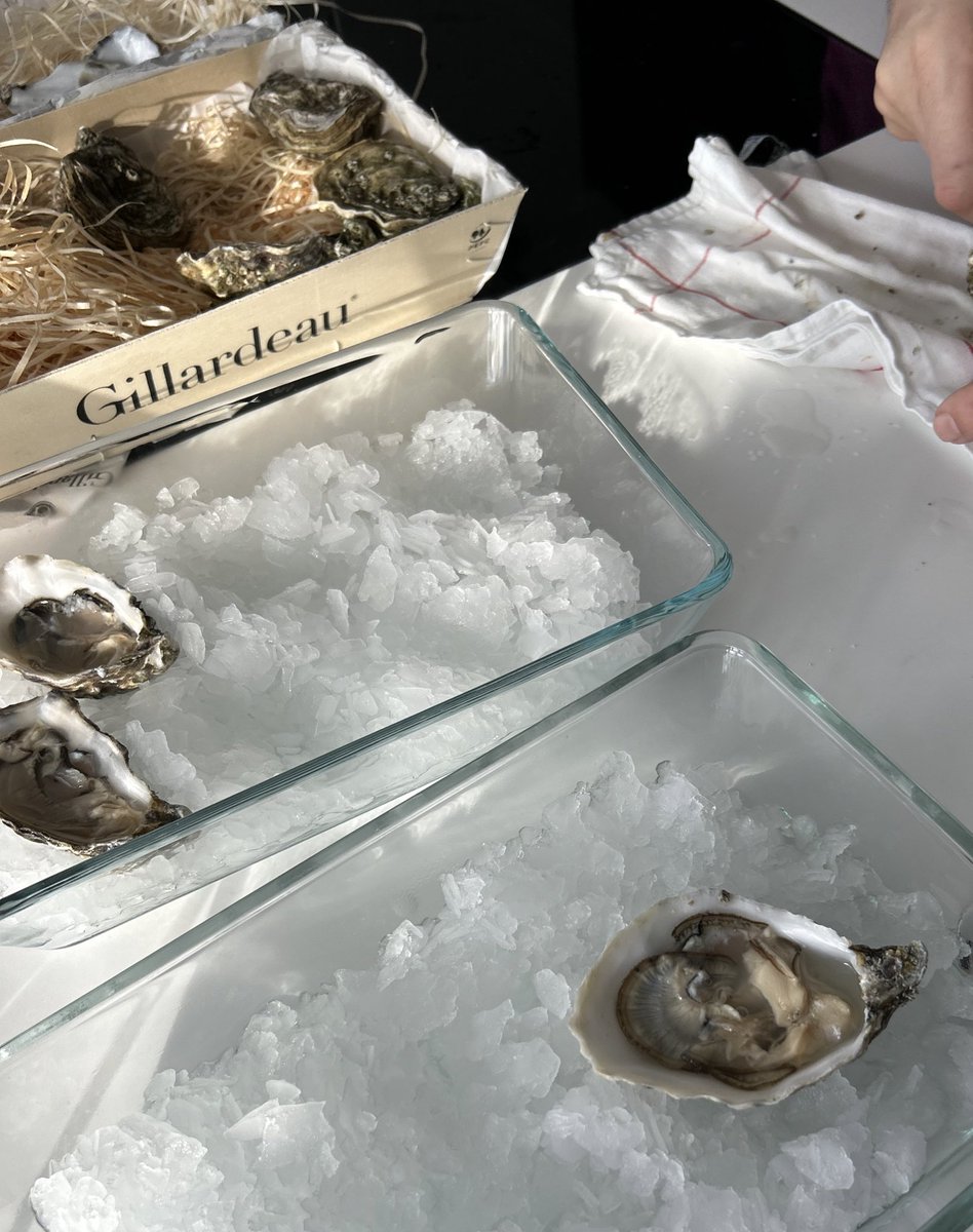 peacearhpn's tweet image. 🤓🦪🍽️✨ #peacearhpn