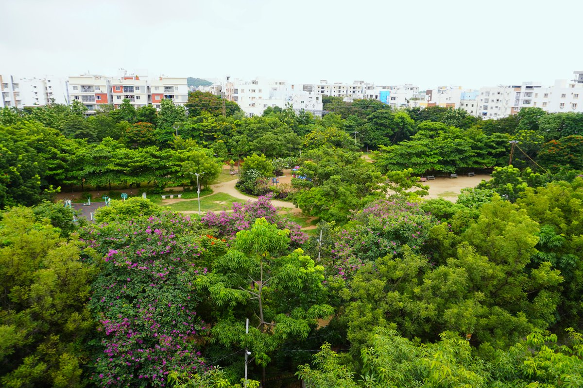 Walk4Health tweet media