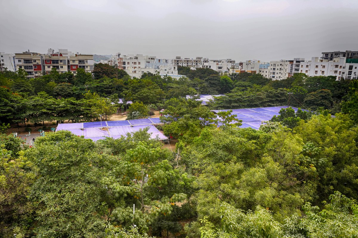 Walk4Health tweet media